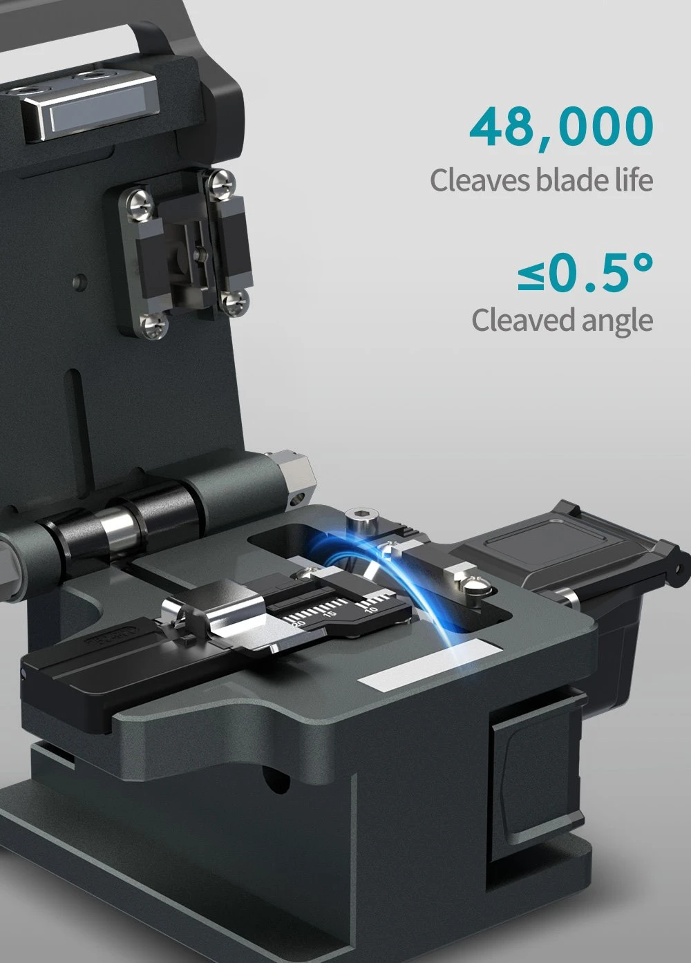 Cleaves